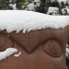 20131210_snow_EAM_031_0.jpg
