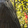 Temple University's Owl sculpture at the center of Main Campus