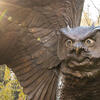 20171129_Owl_statue_011.jpg