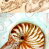 Bio_Website_Caryn_white_1%202022-12-16%2007_59_27.png