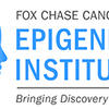 CEI image
