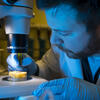 Student examining lab speciman