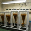 Zebrafish facility