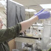 Student working in laboratory. 